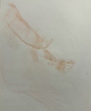 IMG_0724
