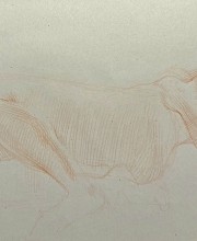 IMG_0725